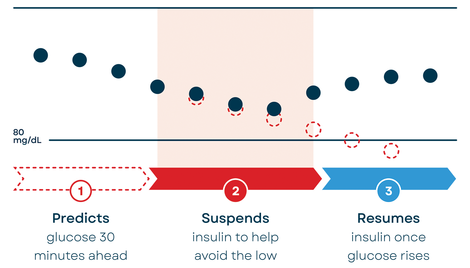 How Basal-IQ Works Illustration