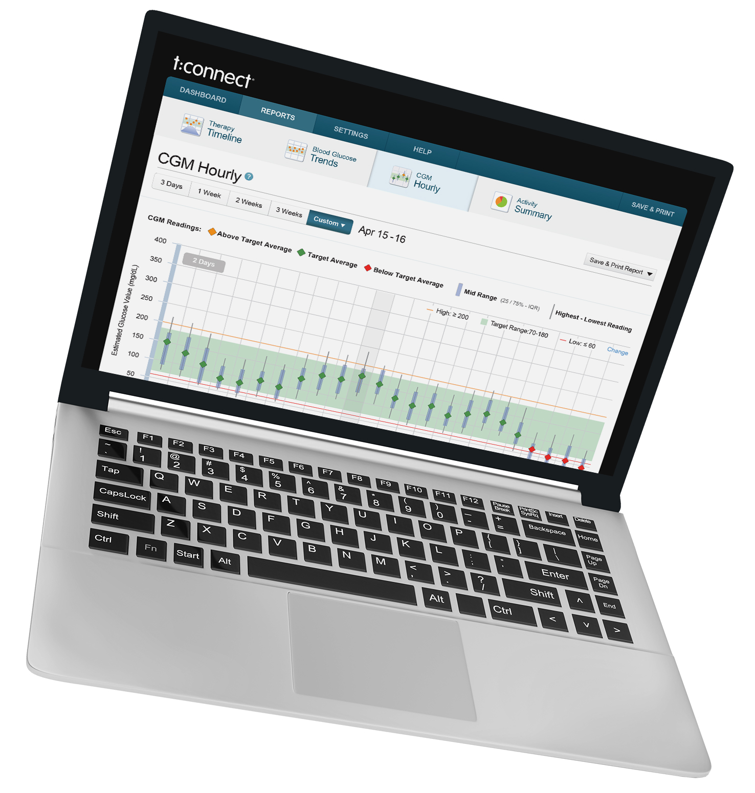 t:connect Web Application CGM Hourly