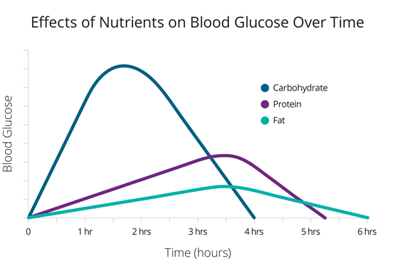 CM-000500_A_Blog_Graphs_Carb_Counting_Nutrients